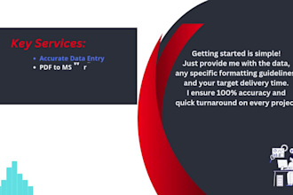 provide you ms word data entry and PDF conversion services