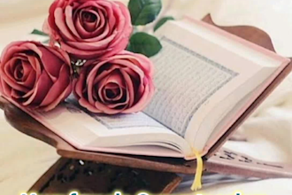 teach quran,tajweed,hifz,tafseer and hadith professionally