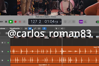 professionally mix your multitrack audio or music production