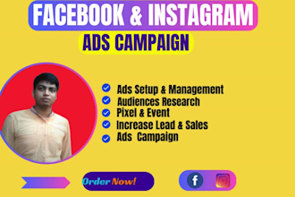 teach you facebook ads, strategy, meta campaign, and funnels