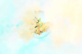 render realistic liquid animation, 3d water animation for your product