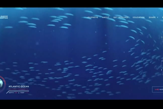 redesign 3d animated webflow website, figma to webflow, gsap and spline