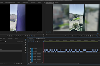 provide professional 1 on 1 lessons on video editing