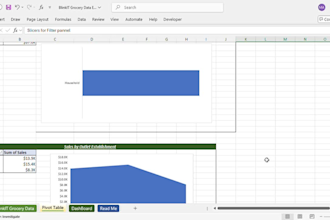 create excel professional dashboard, and pivot tables