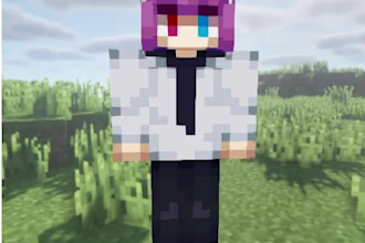make you a minecraft skin