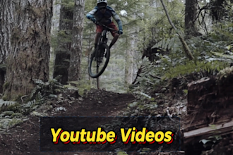 do professional video editing within 24 hours