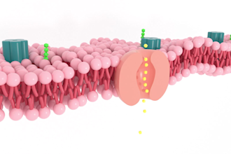 do 3d medical and scientific modeling and animation