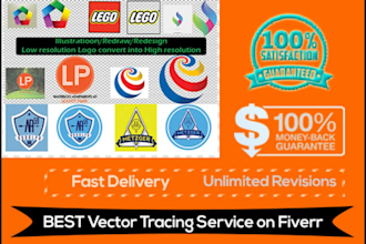 convert  to vector within 24hours