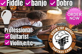 record pedal steel, dobro, guitars, lap steel, mandolin, harmonica