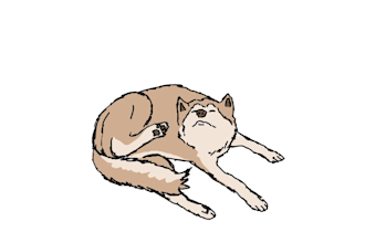 create 2d animated gifs