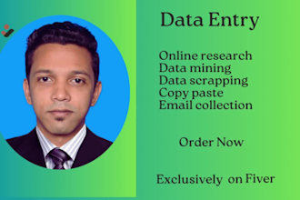 do data scrapping,web research,data mining,email collection and copy paste