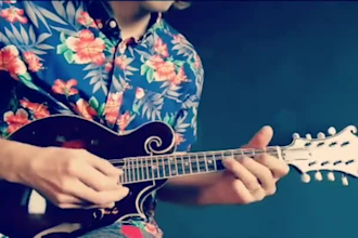 make unique original guitar mandolin recording