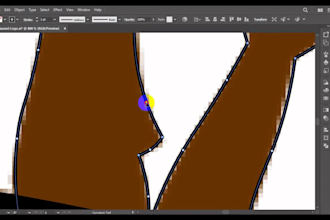 do vector tracing, image to ai, eps, pdf services