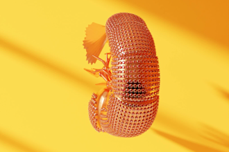 develop 3d cad jewelry models and generate photorealistic renderings