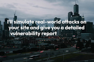 do website penetration testing and vulnerability assessment