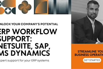 handle all your task in netsuite, sap, ms dynamics
