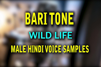do professional hindi male voice over and dubbing