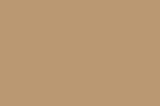 design a minimalist logo for your airbnb, property, house with business card