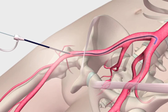 make any 3d medical animation, device animation, modeling, scienstific animation
