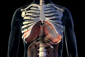 create 3d medical animation surgery animation explainer video motion graphic
