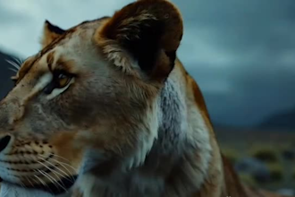 create a cinematic ai generated short film or animated video