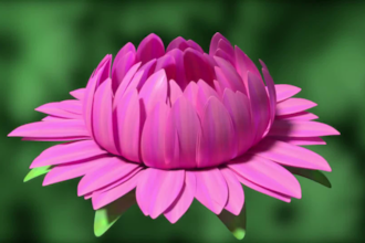 create 3d flower animation, 3d cgi animation, 3d flower model