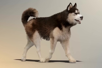 do 3d animal model animal animation 3d animal design 3d texturing vfx, 3d cgi