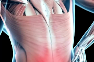 create 3d medical animation, 3d explainer bodies video animation, 3d animation
