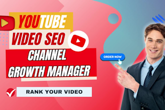 do best youtube video SEO expert optimization and channel growth manager