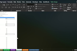 provide fast and cheap data entry and visualization services
