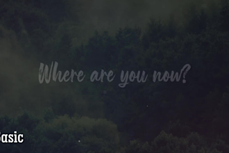 create an amazing eye catching video with your lyrics