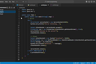 do socket programming and network programming task in python c cpp java