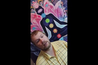 perform a reiki energy support session