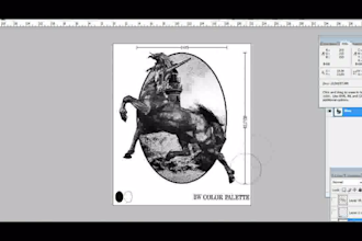 draw engraving style illustration by your request