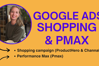 set up and optimize your shopping and or pmax campaign in google ads