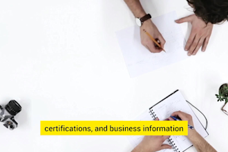 do a professional capability statement, government capability statement