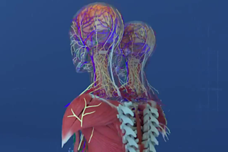 3d medical animation video 3d medical explainer videos anatomy surgery animation