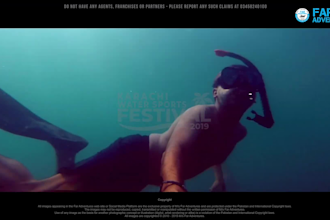 create business, event, festival promo videos professionally