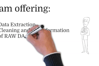 provide express service for data cleaning and formatting
