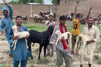 african happy birthday video african happy birthday video