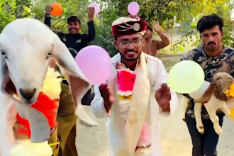 do funny african happy birthday video or wish with dance