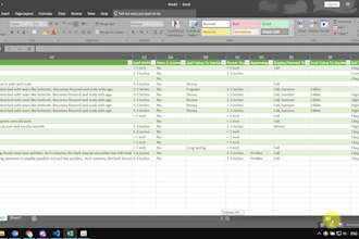 do bulk download images and pdfs, data extraction in python