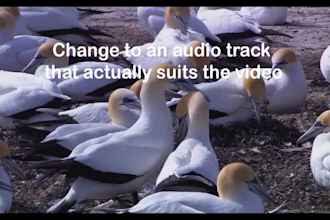 edit videos, do conversion of videos and correct sync issues