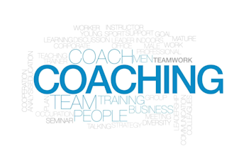 provide 1 on 1 leadership and personal development coaching