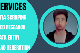 do professional  web scraping and data extraction
