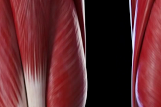 do 3d medical animation 3d rendering 3d dental animation video