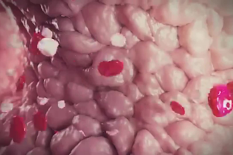 do 3d medical animation aspirin work animated process 3d medical explainer