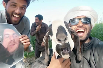 do funny african happy birthday video or happy birthday video