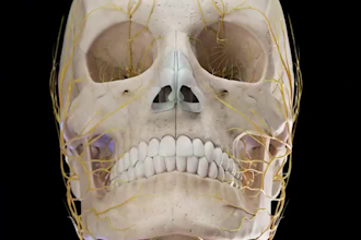 create  3d medical animation 3d explainer video  industrial animation