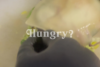 edit food reels for you